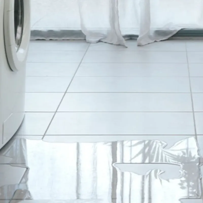 Appliance Leak Cleanup in Panama City Beach, FL